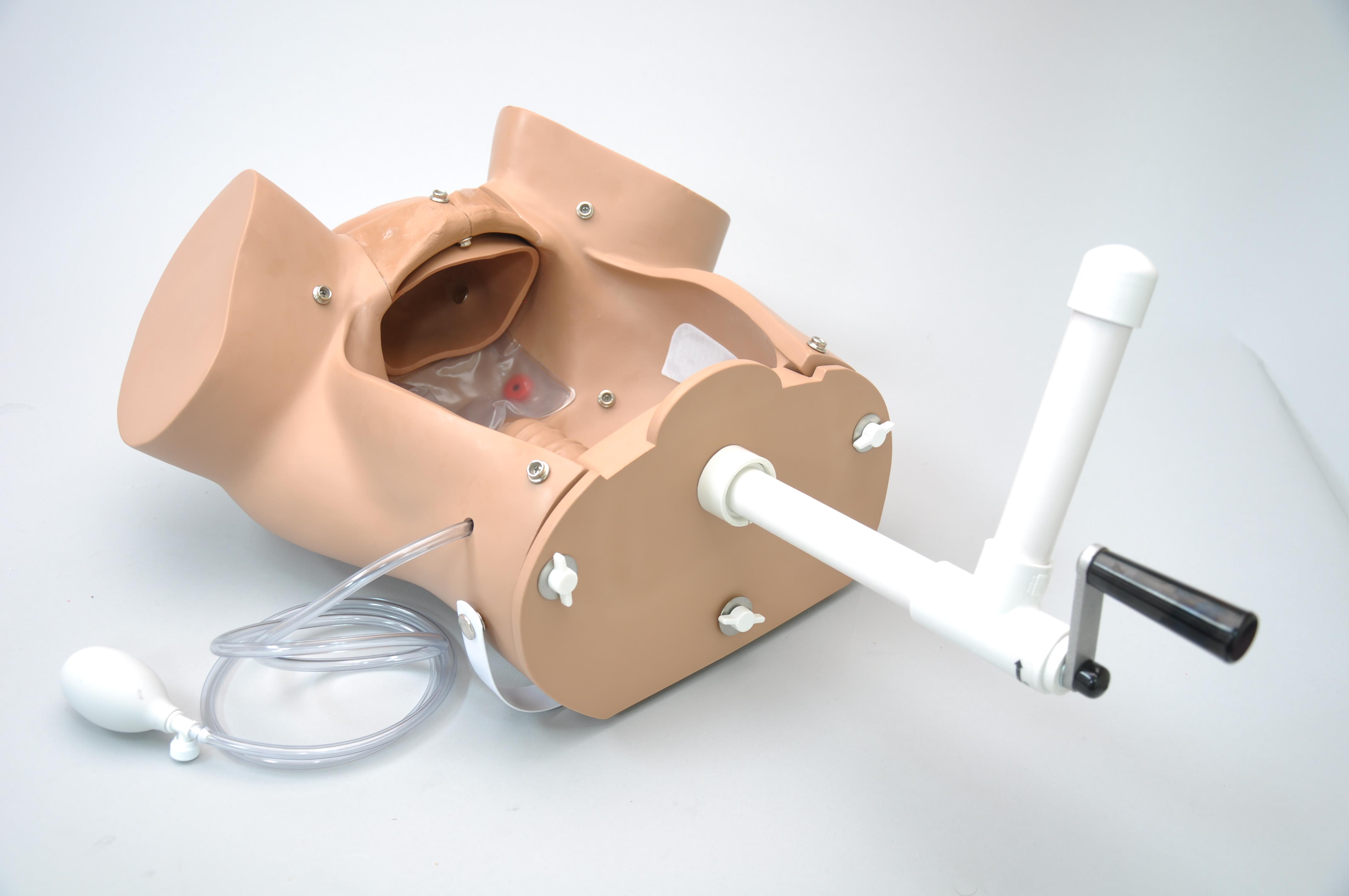 OB-Susie-Advanced-Childbirth-Skills-Trainer-Torso-1