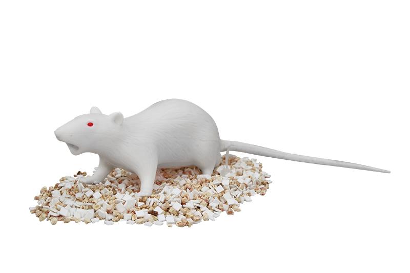 Natsume Rat