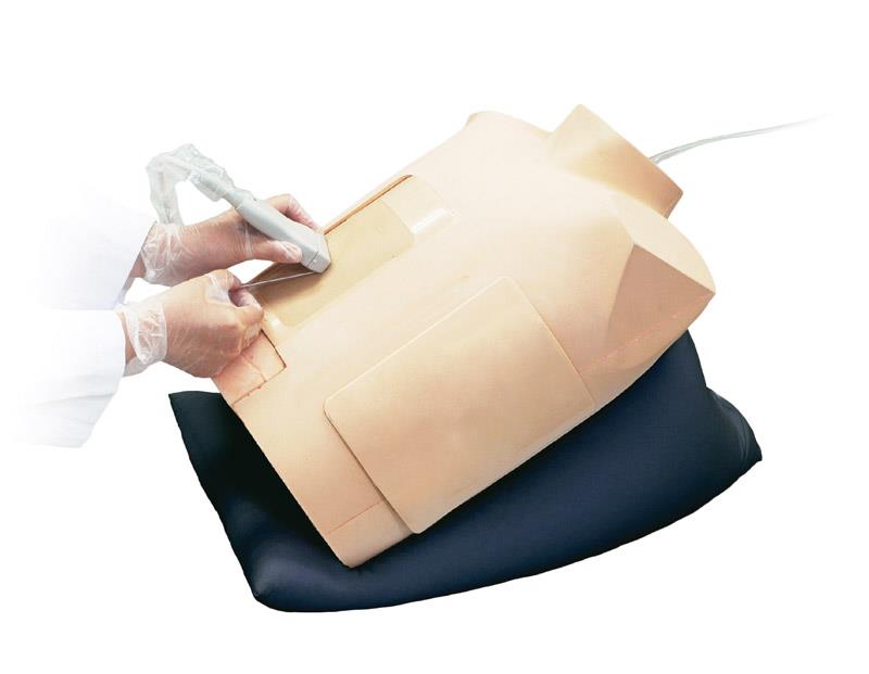 Ultrasound-Guided Pericardiocentesis Simulator
