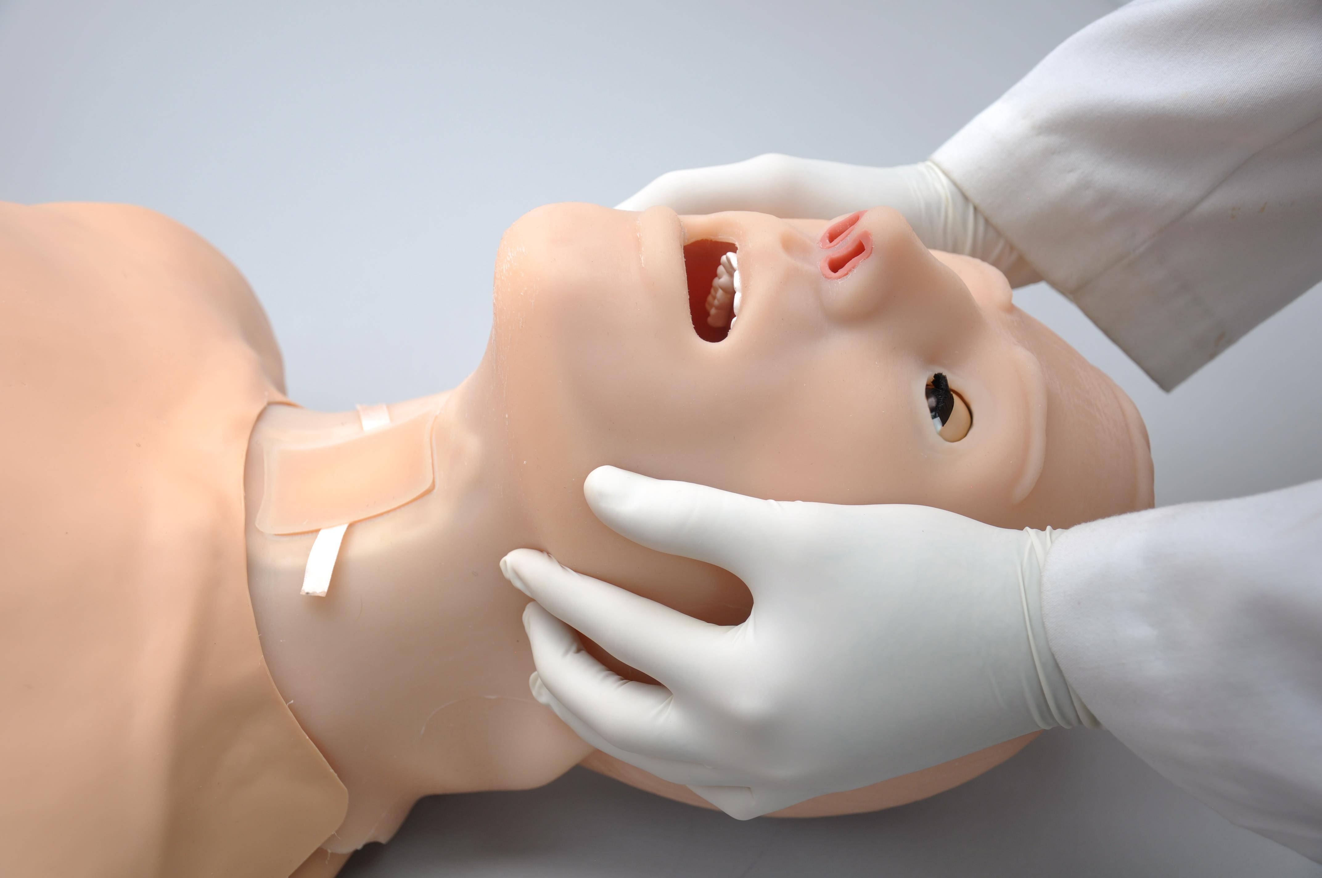 HAL-Adult-Multipurpose-Airway-and-CPR-Trainer-5