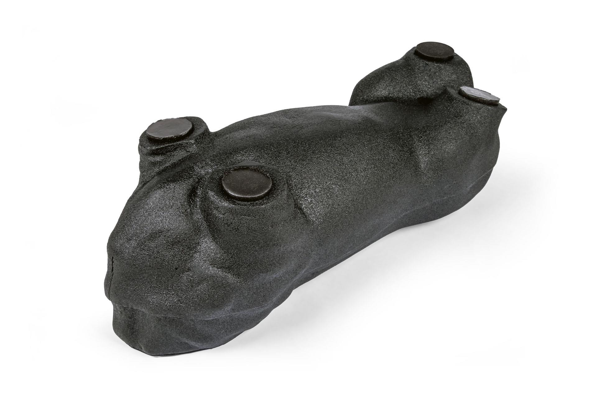 Lillie-Canine-Ultrasound-Phantom-Training-Kit-2