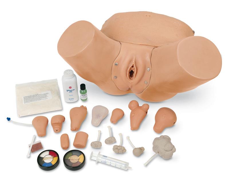 Advanced Pelvic Examination and Gynecological Simulator