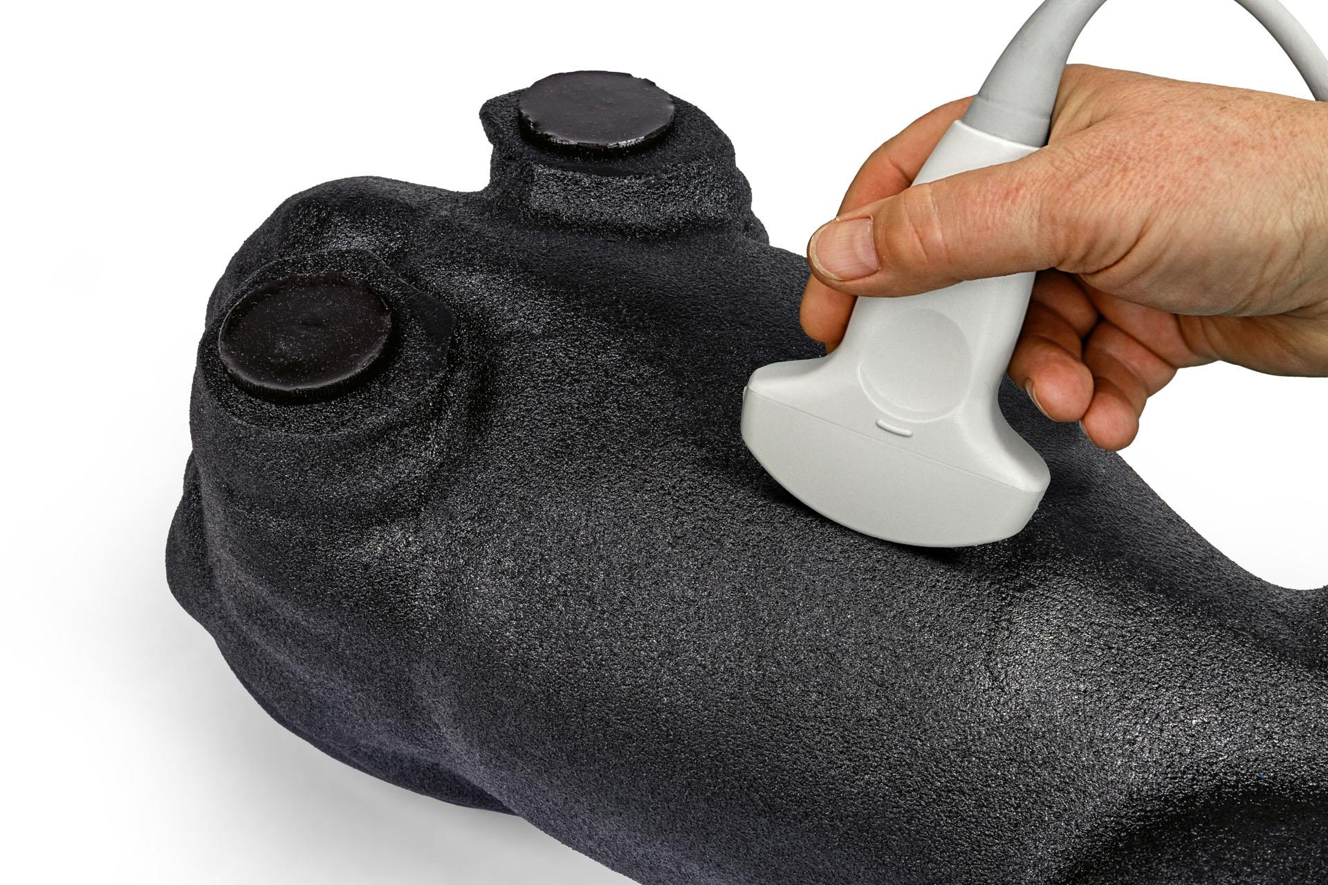 Lillie-Canine-Ultrasound-Phantom-Training-Kit-5