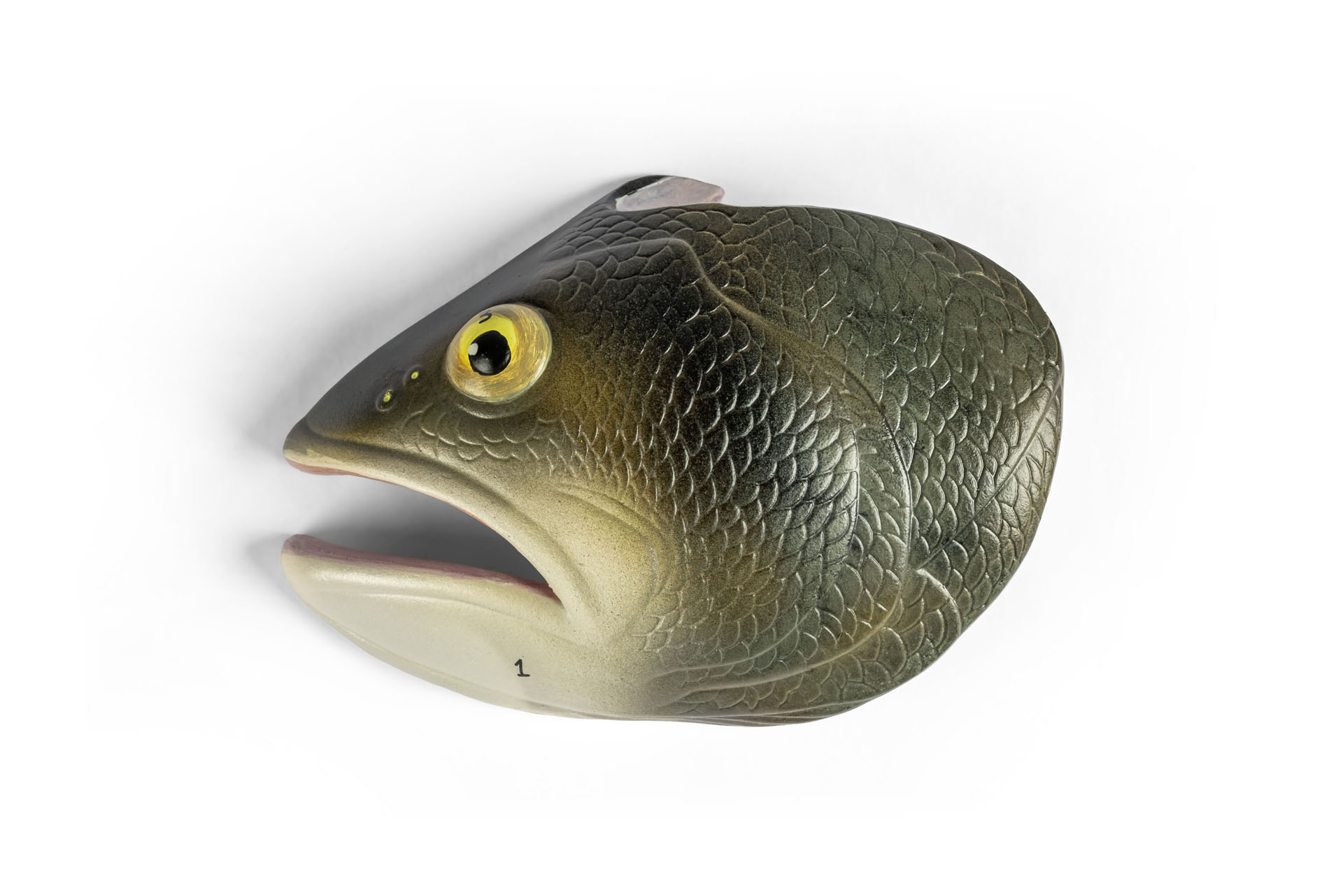 Modell eines Flussbarschs (Perca fluviatilis)