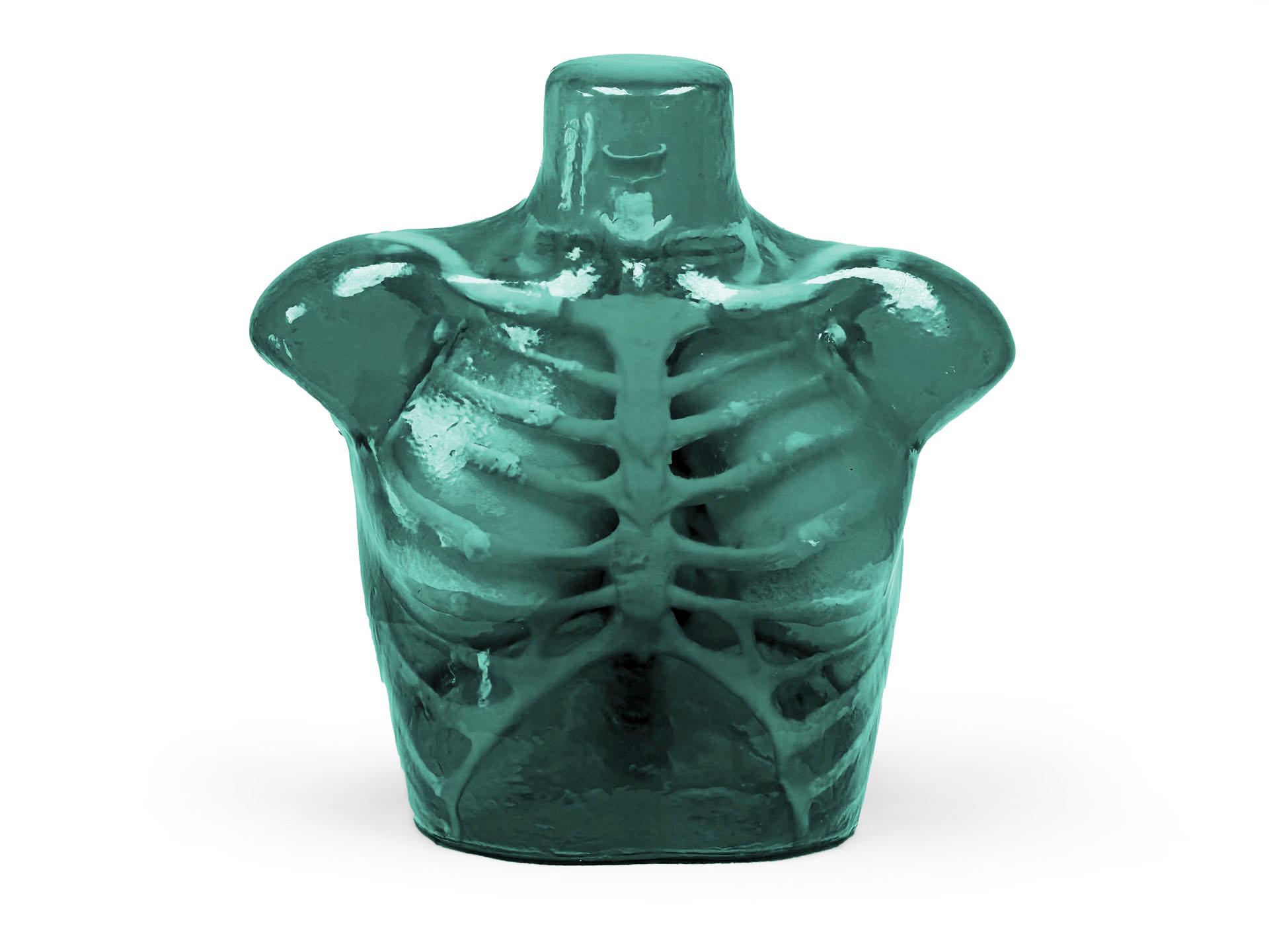 Adult-Thorax-for-X-Ray-CT-and-US-2 Adult-Thorax-for-X-Ray-CT-and-US-2