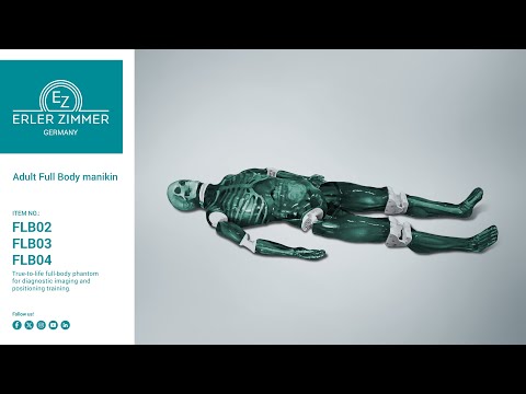 Adult Full Body manikin X-Ray, CT, US without muscles Adult Full Body manikin X-Ray, CT, US without muscles
