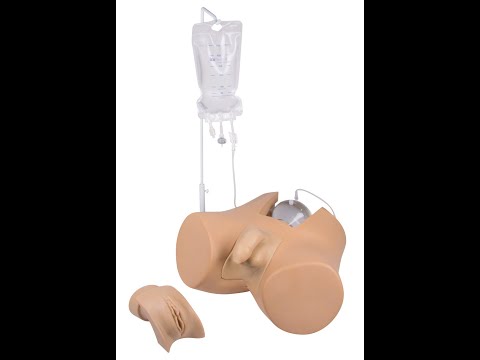 Catheterization trainer with male genital insert „Henri“ and female genital insert „Florence“