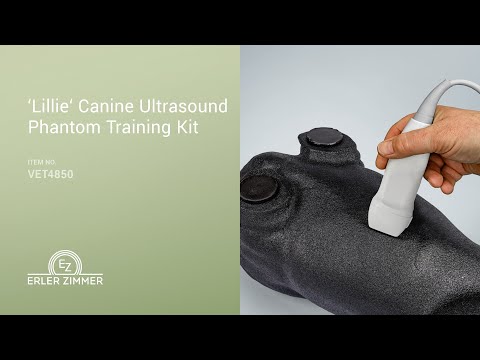 Hunde Ultraschalltrainingssimulator "Lillie"