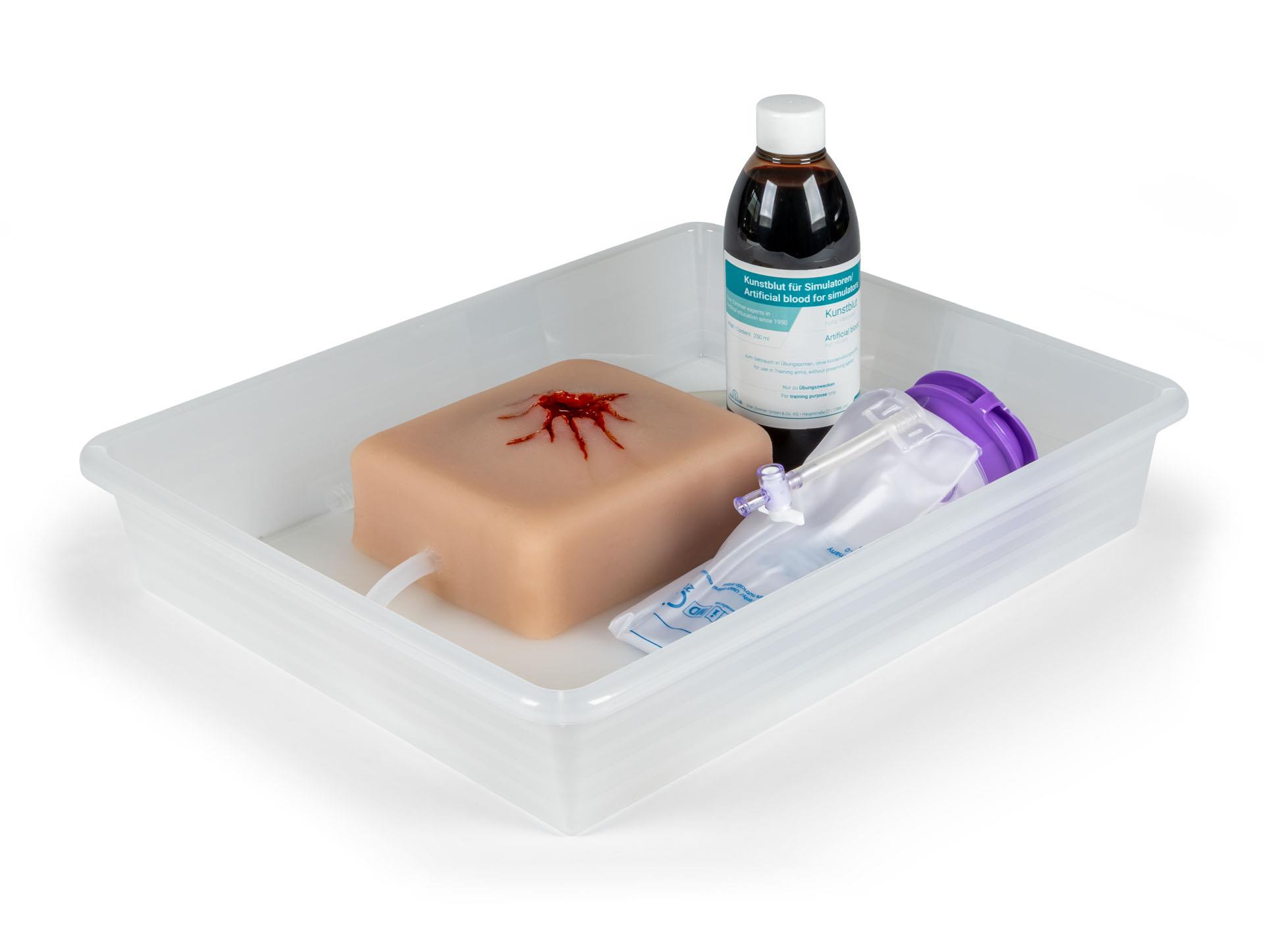 Herstellung und Vertrieb anatomischer Modelle und medizinischer Simulatoren