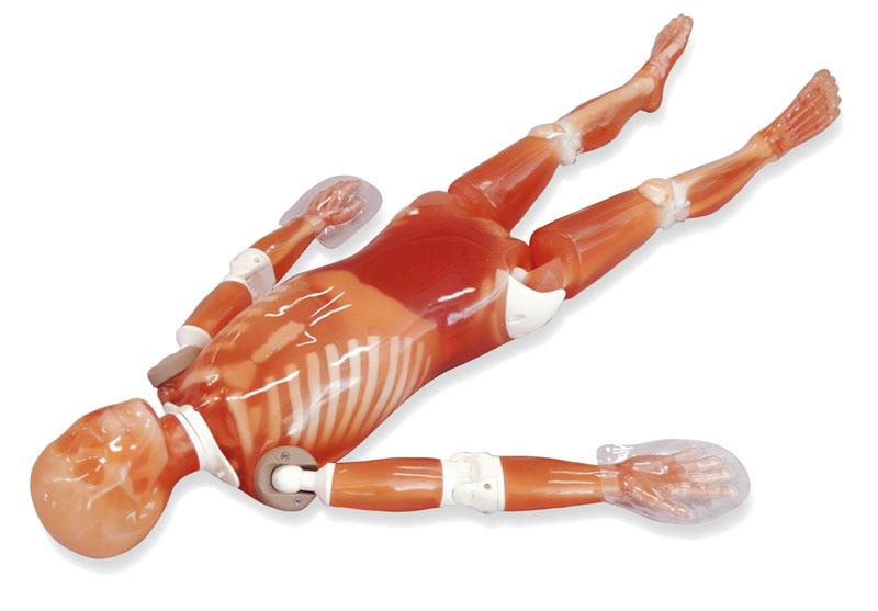 Full Body X-Ray Phantom | 7200